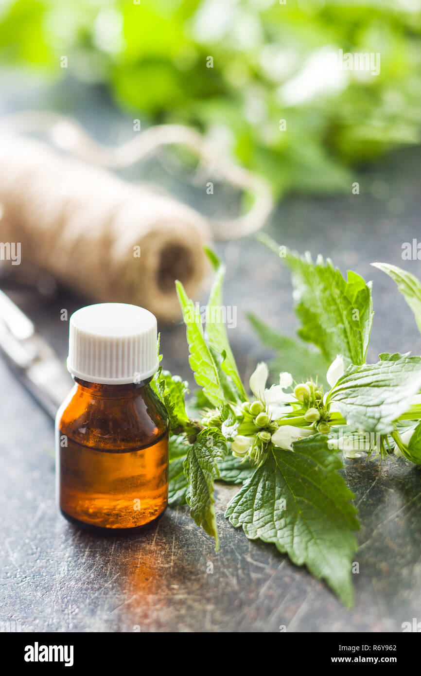 White dead nettle with aroma oil on old table. Stock Photo