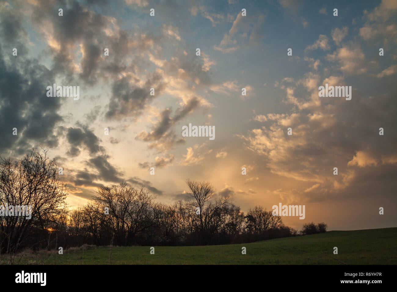 landscape in the spring Stock Photo - Alamy