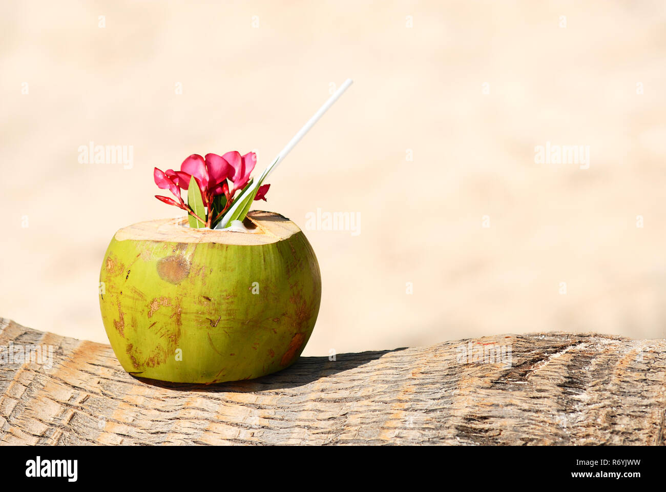 coconuts on the beach Stock Photo
