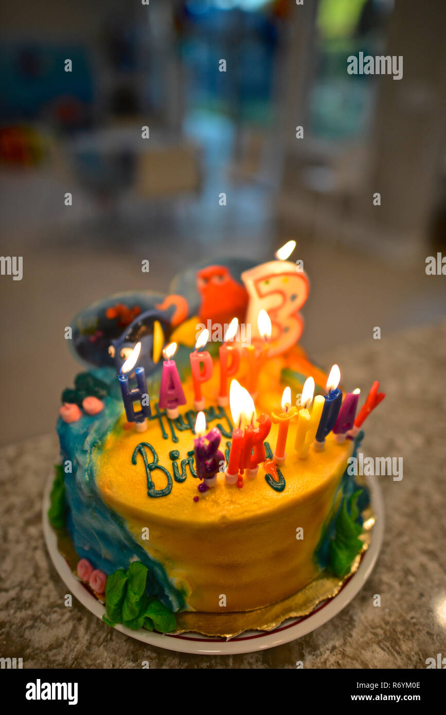 Woman lighting the candles of a birthday cake Stock Photo - Alamy