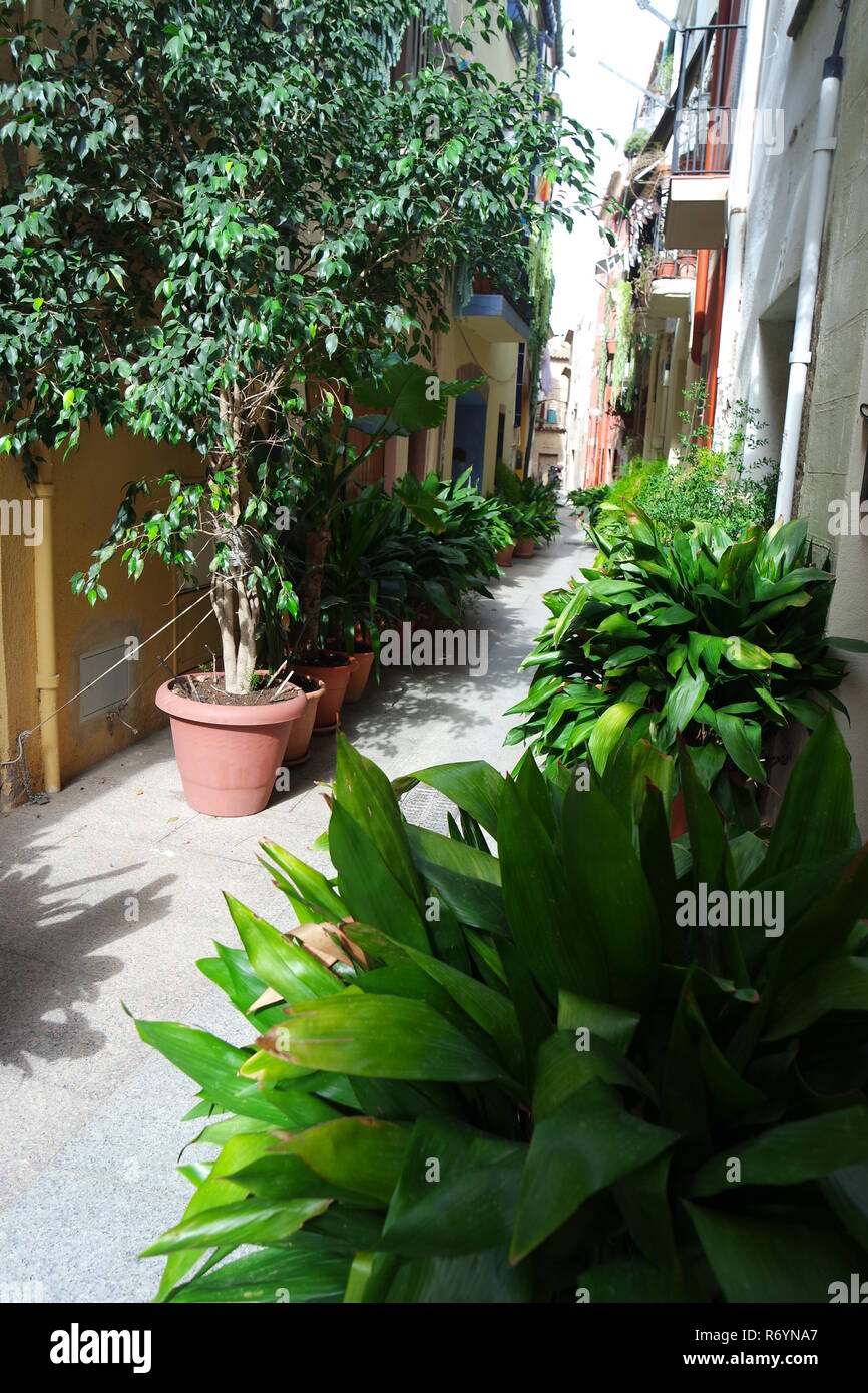 alley in cambrils old town Stock Photo