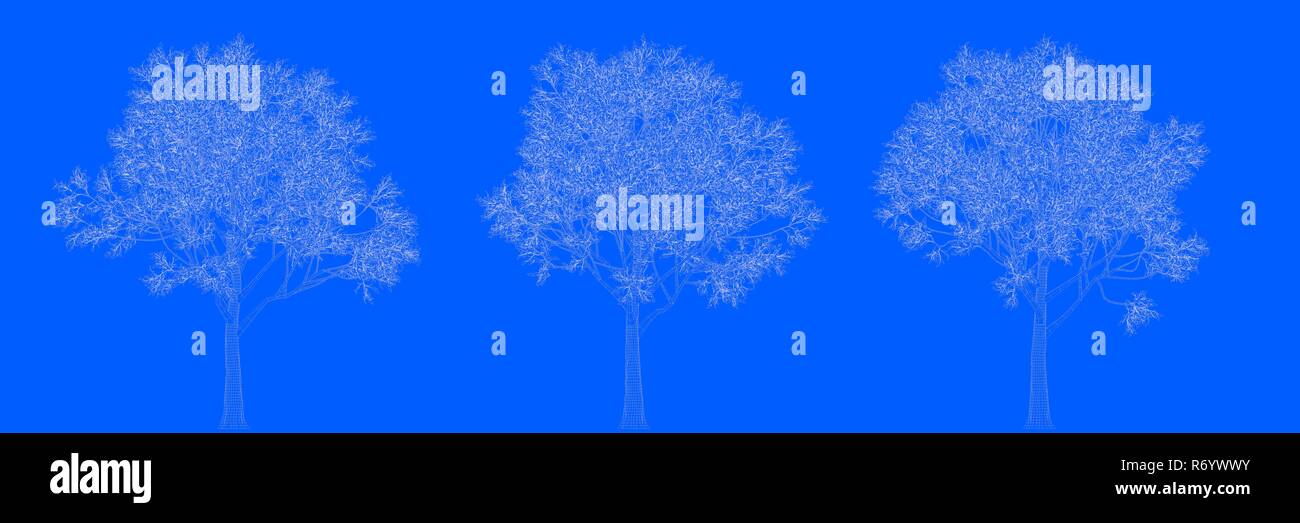 3d rendering of three trees as lines on a blue background Stock Photo