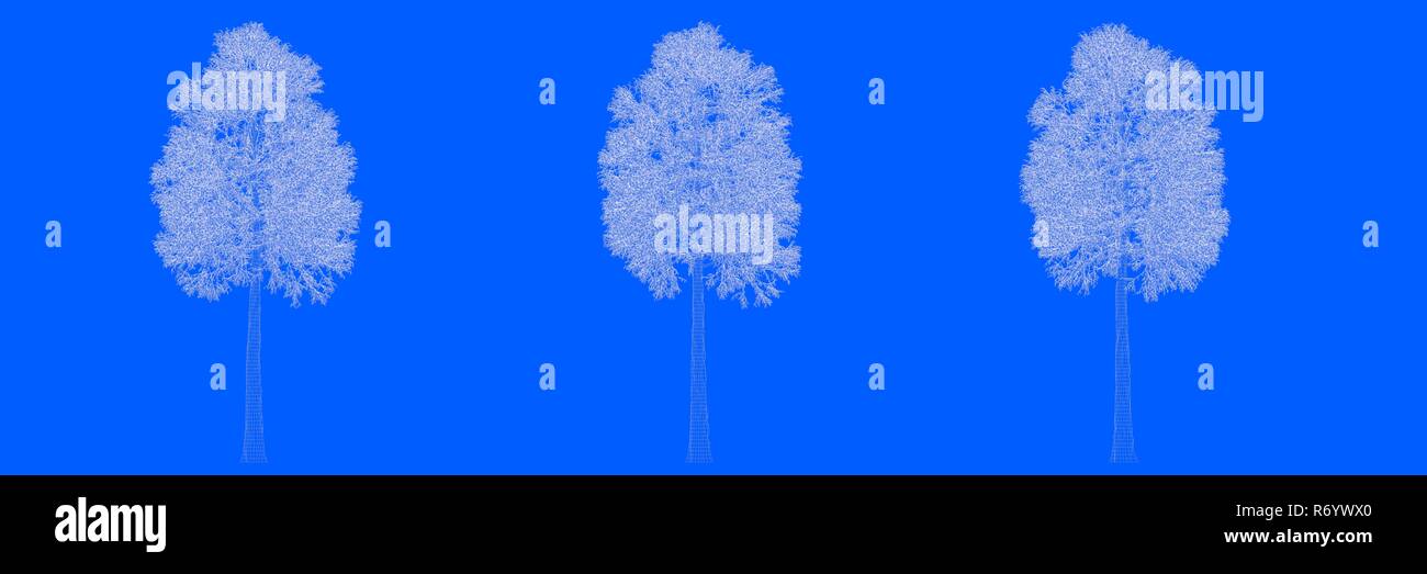 3d rendering of three trees as lines on a blue background Stock Photo