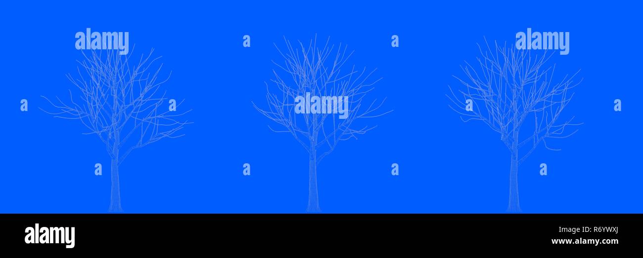 3d rendering of three trees as lines on a blue background Stock Photo