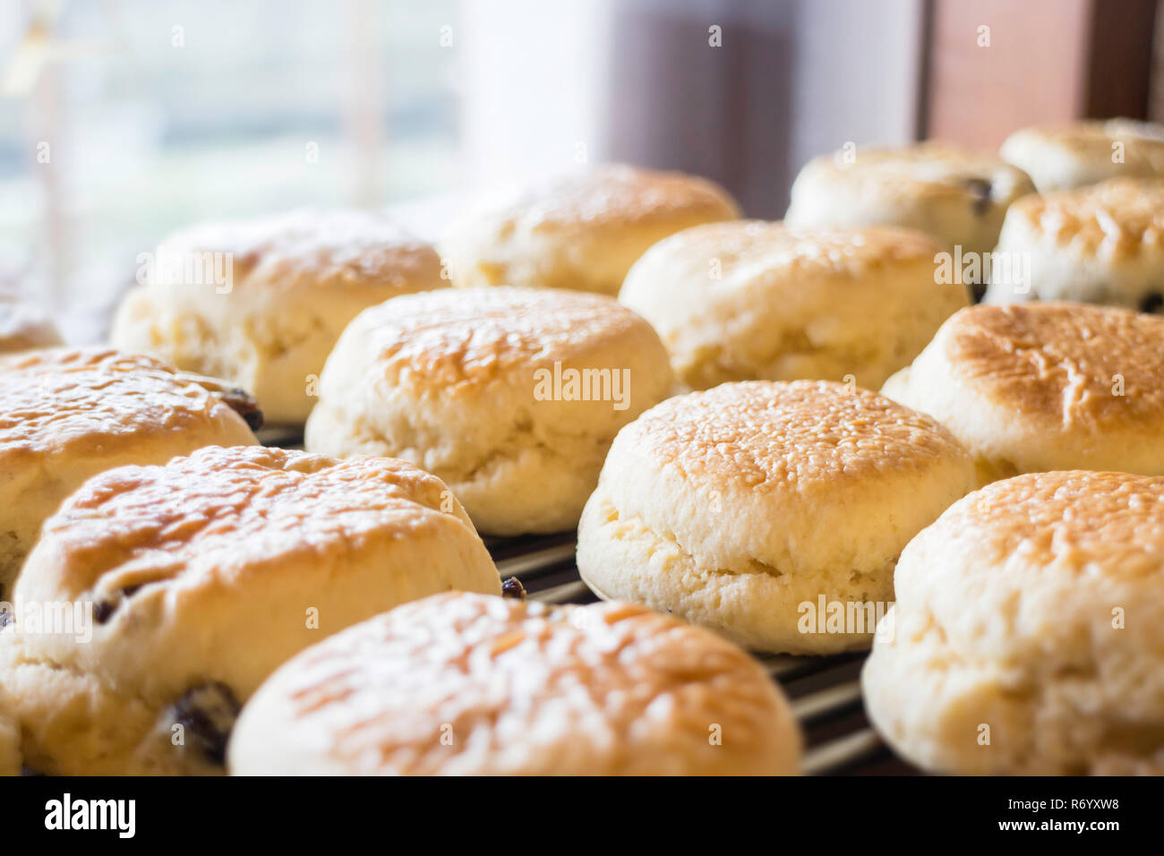 Homemade fresh classic scone for sale Stock Photo Alamy