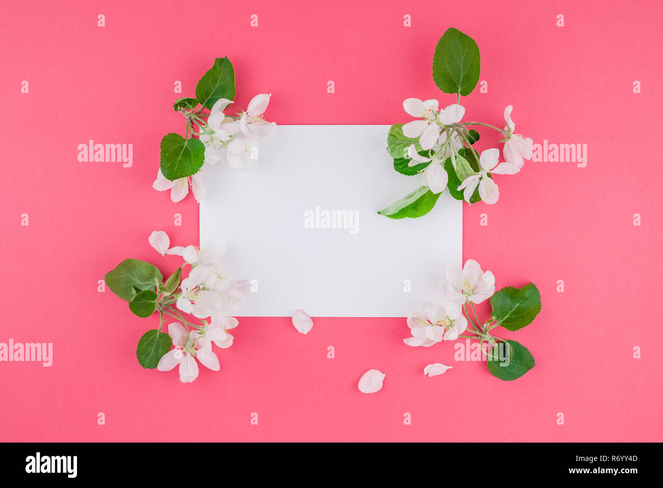 Creative flat lay concept top view of blank postcard frame mock up and ...