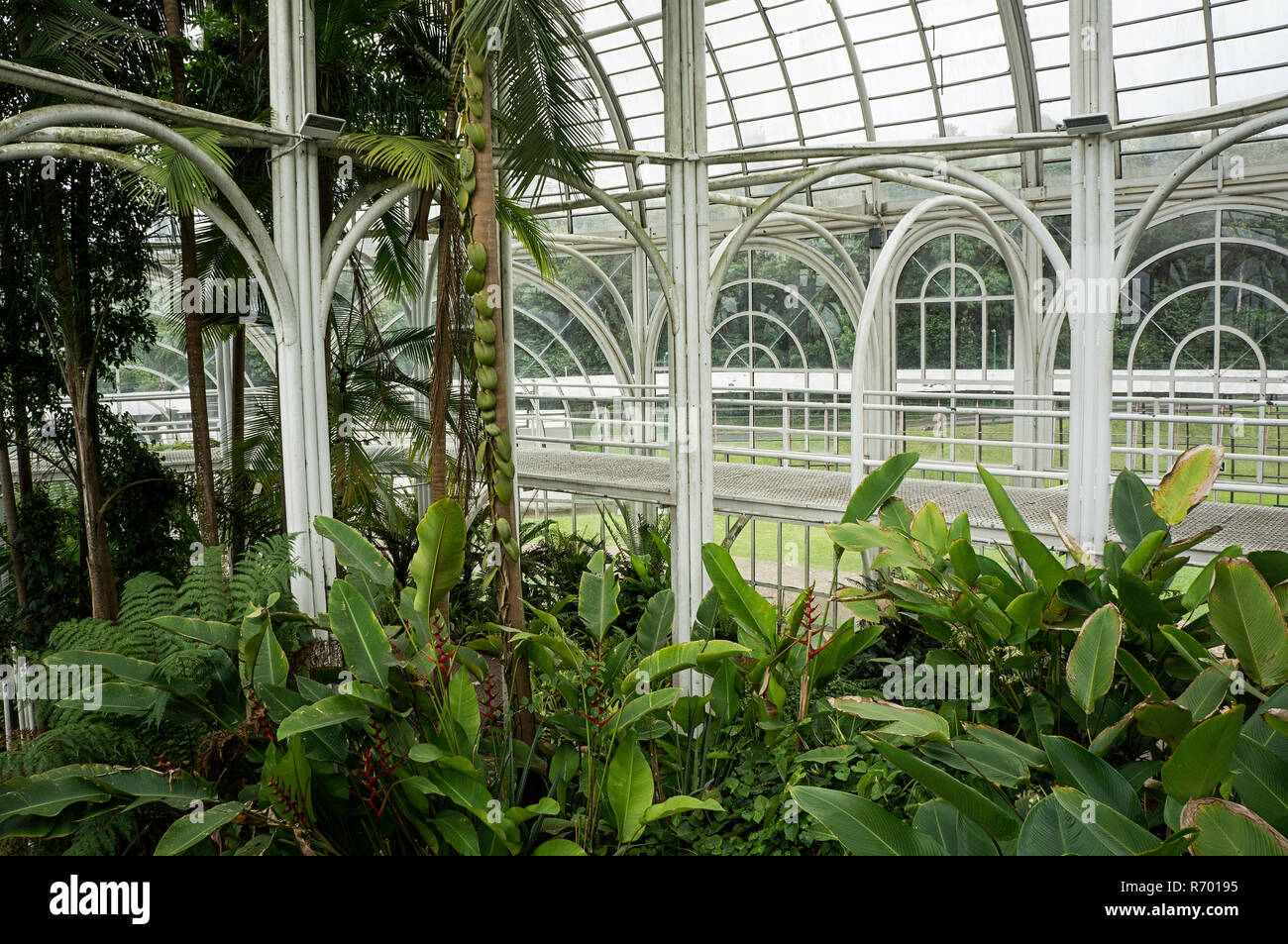glass hall greenhouse Botanical garden Curitiba indoors white metallic