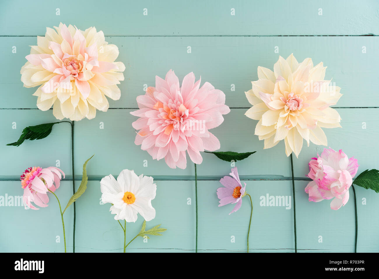 Crepe paper flowers Stock Photo