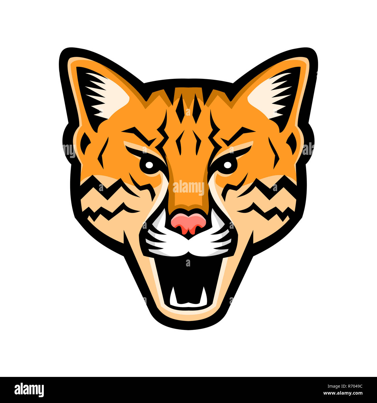 Ocelot Head Stock Photos &amp; Ocelot Head Stock Images Alamy