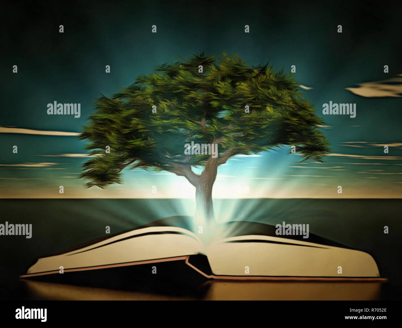 Tree grows from book Stock Photo Alamy