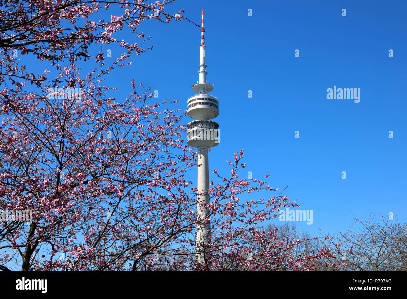 olympic tower munich in spring light Stock Photo