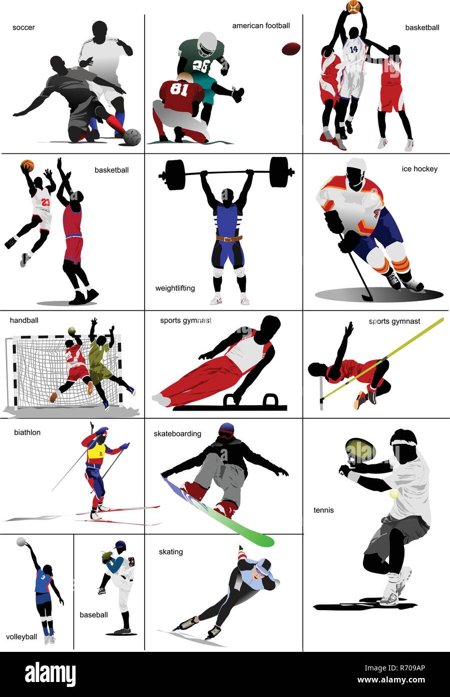 Some kinds of sports. Collection. Colored vector illustration Stock Vector