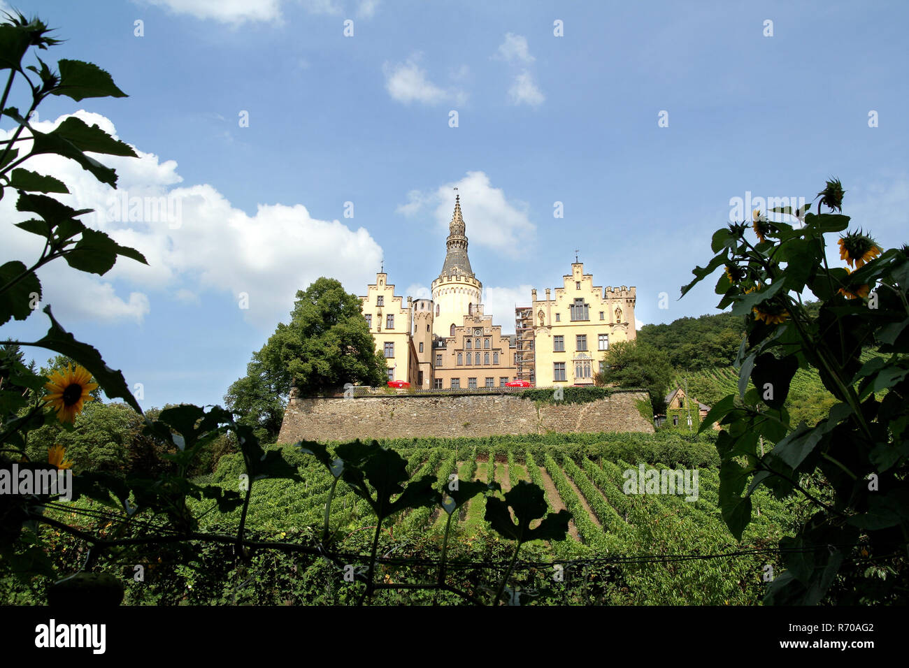 castle ahrenfels in bad hoenningen Stock Photo - Alamy