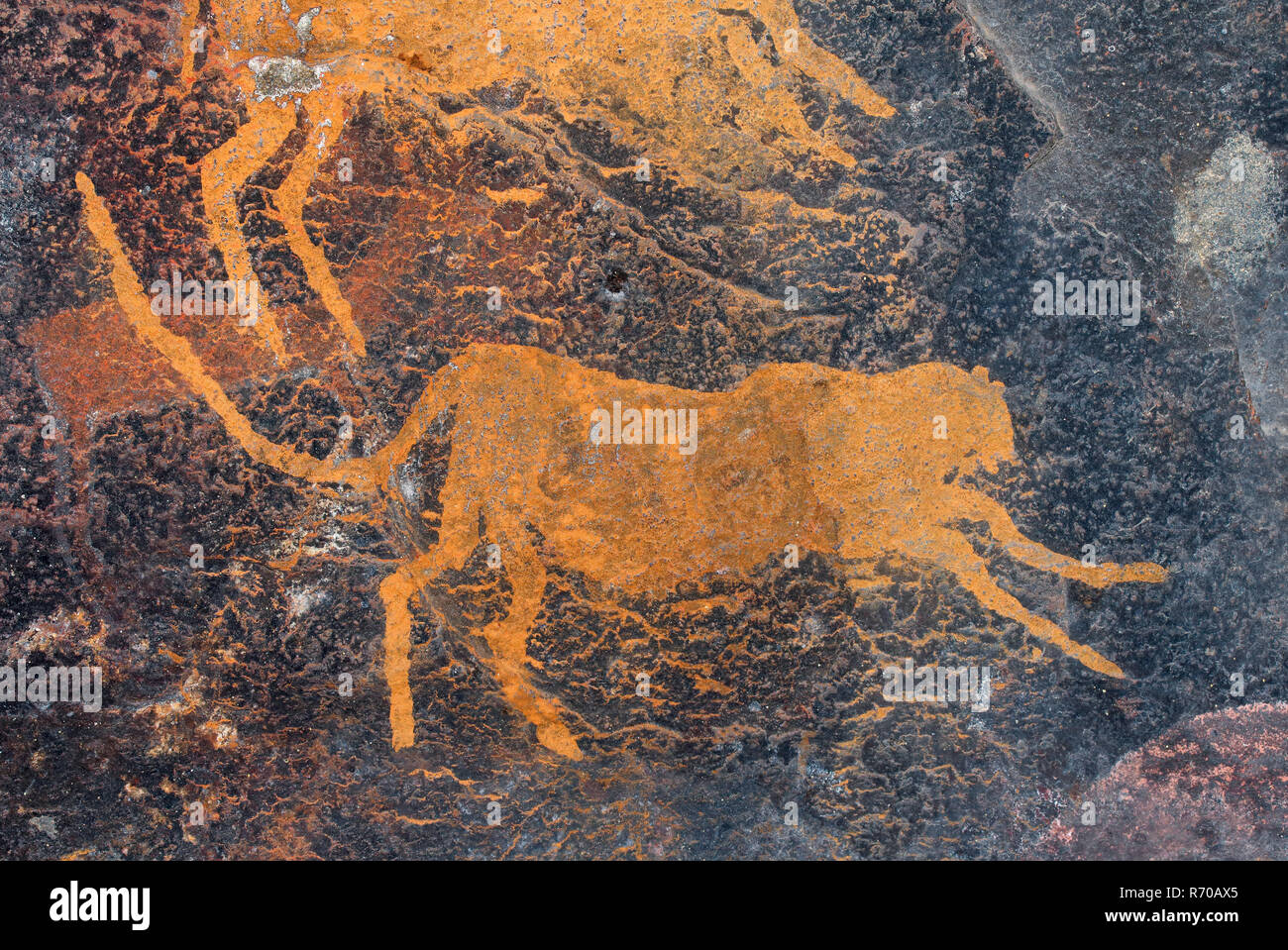 Rock painting of a cheetah Stock Photo