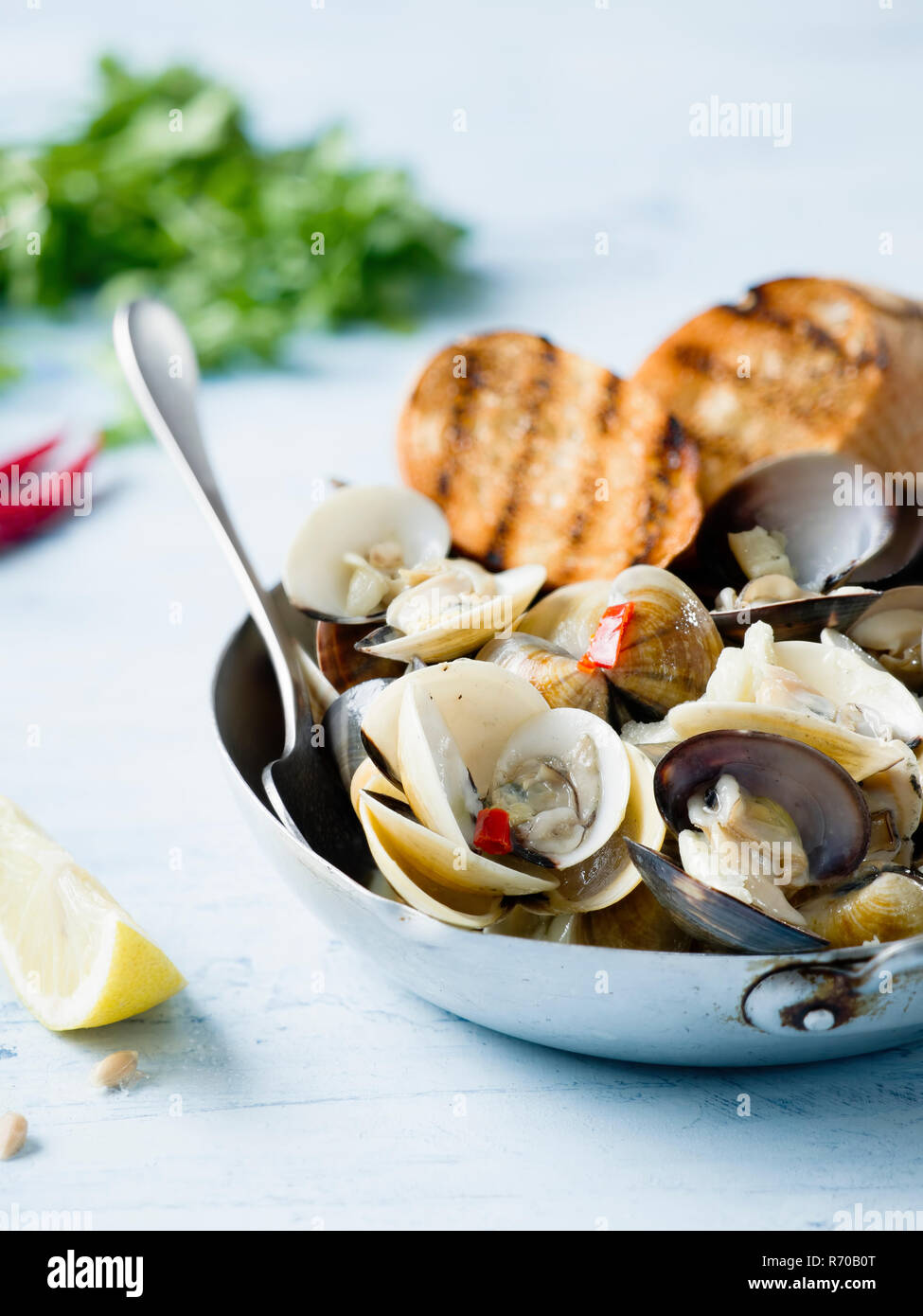 rustic italian vongole clams in white wine sauce Stock Photo Alamy