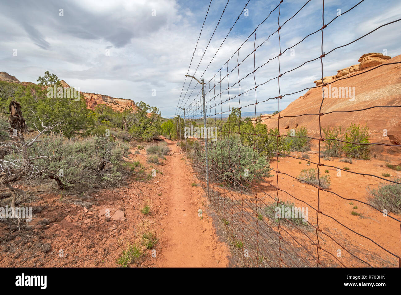 Boundary Fence in the Wilderness Stock Photo