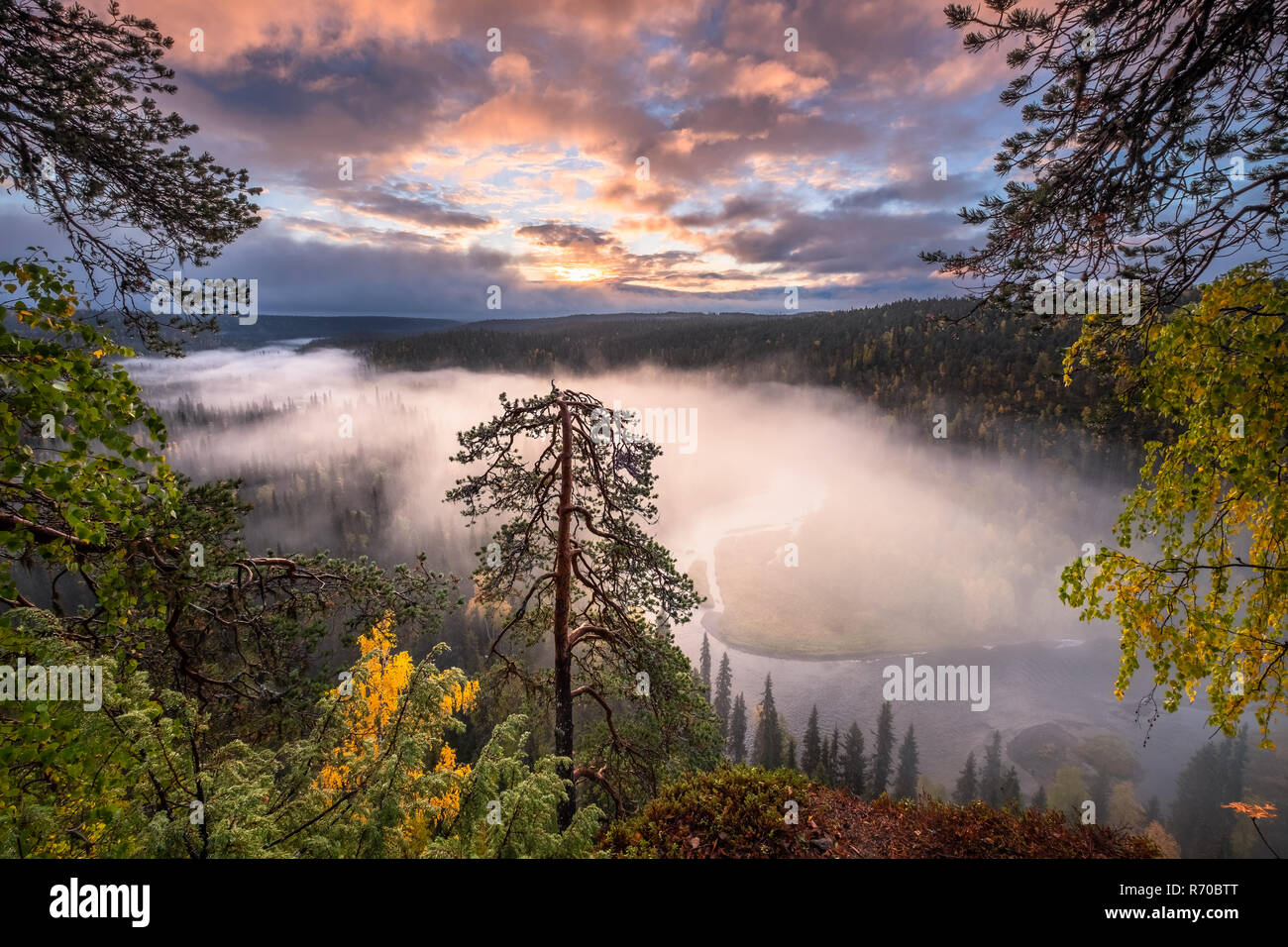 Scenic landscape view with morning fog and fall colors at moody day in Kuusamo, Finland Stock Photo