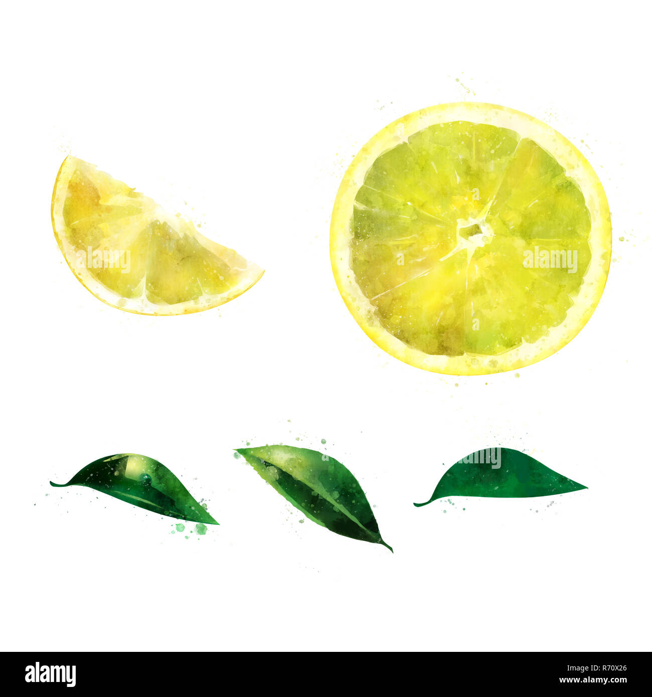 Lemon on white background. Watercolor illustration Stock Photo