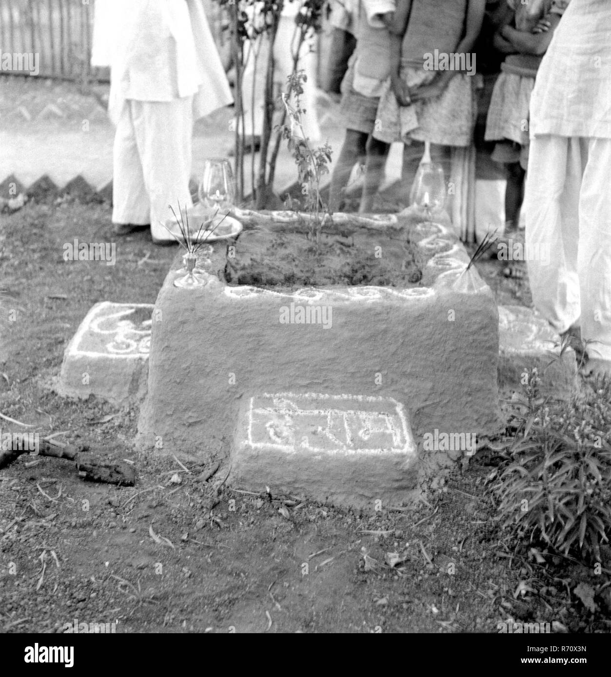 Mahatma Gandhi newly planted Tulsi tree at Sevagram Ashram, Wardha, Maharashtra, India, 1944, old vintage 1900s picture Stock Photo
