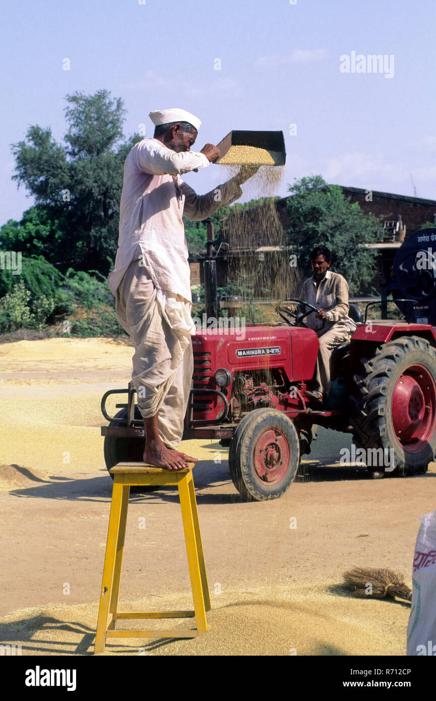 Traditional method of threshing hires stock photography and images Alamy