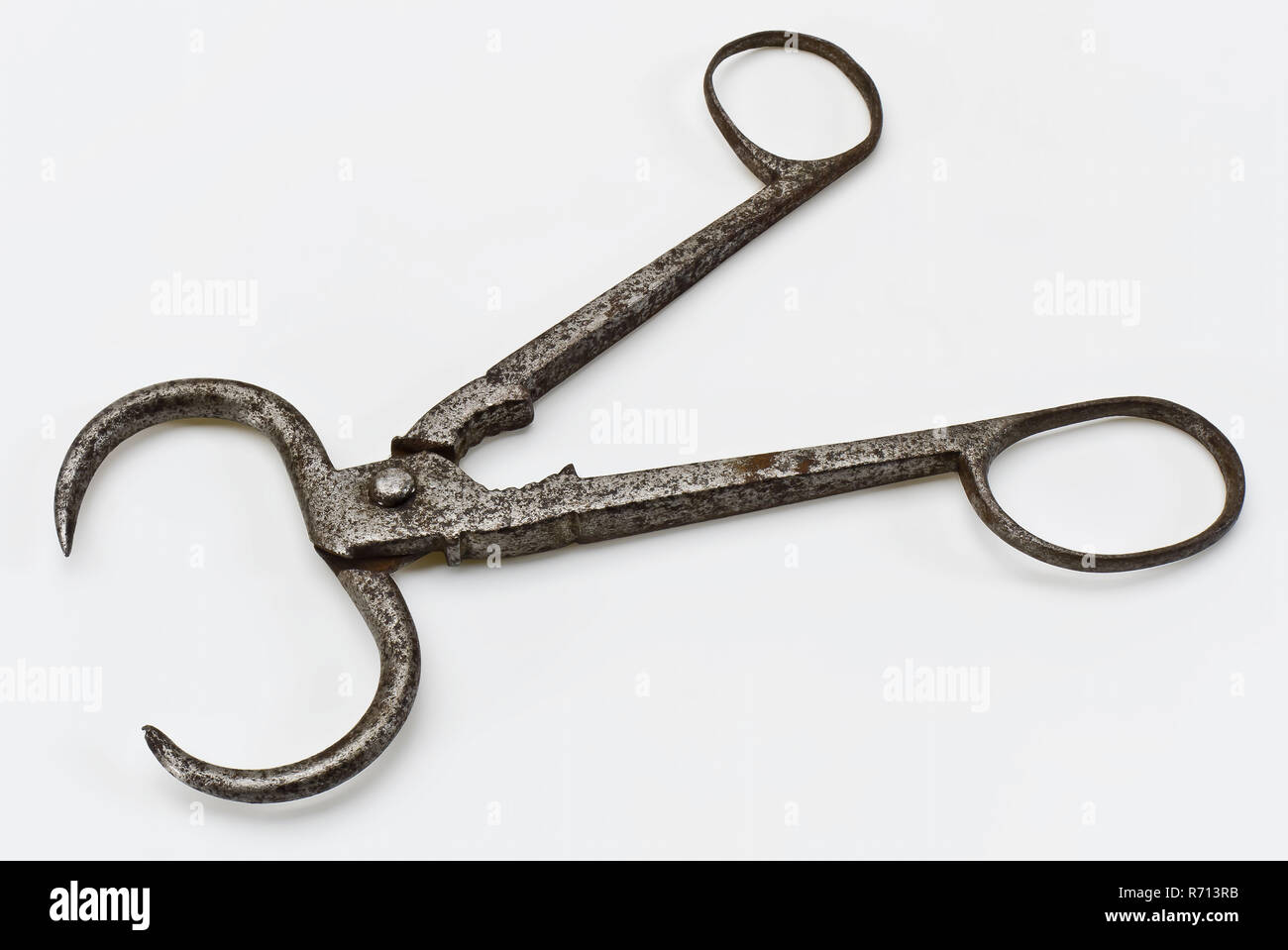 Hinged pliers, uneven eyes and oval mouth, pliers tools equipment soil