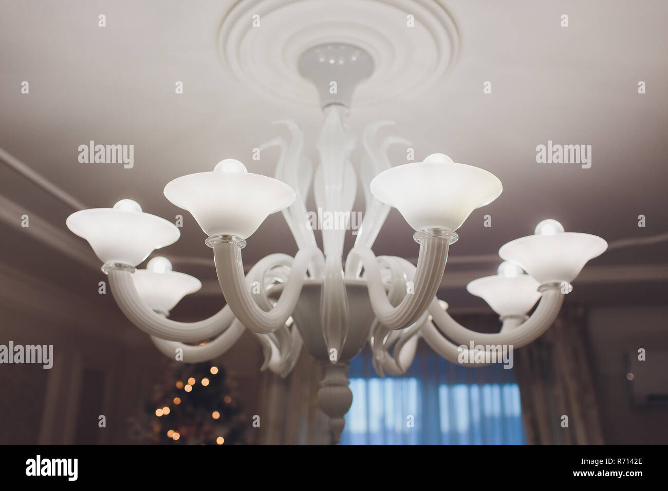 Modern Chandeliers For House The Best Lighting For Every