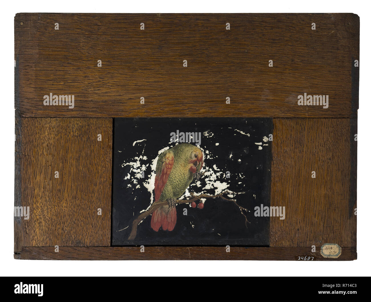 Hand-painted glass plate in wooden frame for illumination cabinet, image of parrot on branch with cherries, slide plate diapositive footage glass paint wood oak bone, dimensions) handpainted Hand-painted glass plate for lighting cabinet in wide oak frame The frame is rejuvenated on the sides and shows wear and discolouration: the plates were pushed into an illumination cabinet from above. At the back left and right above two small legs fastening points for the illumination cabinet. Image of green-red parrot on branch with cherry optics Stock Photo