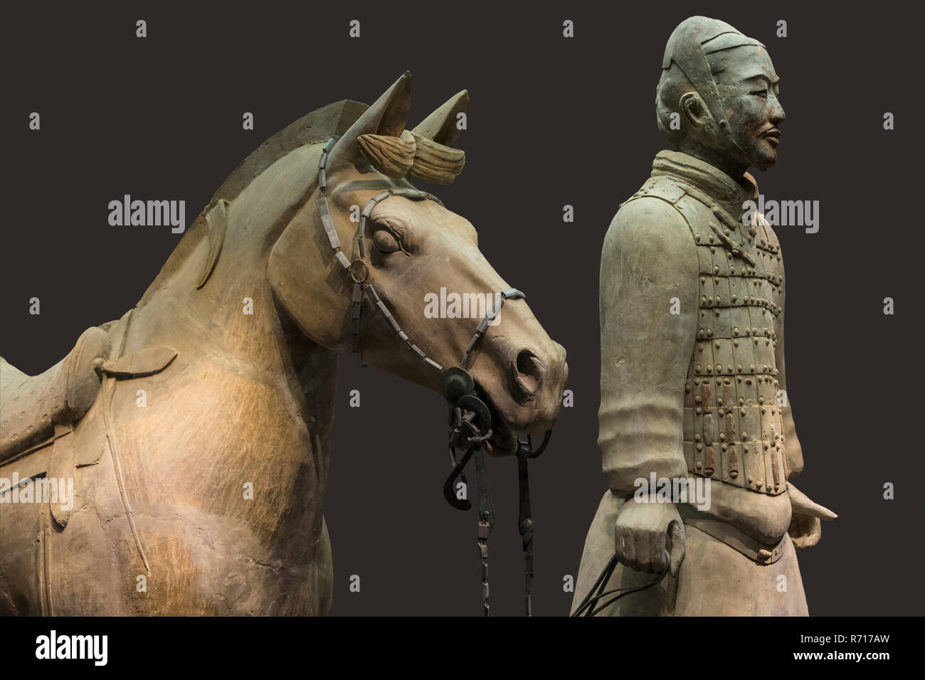 Museum of the Terracotta Warriors, Cavalryman with his Saddled War
