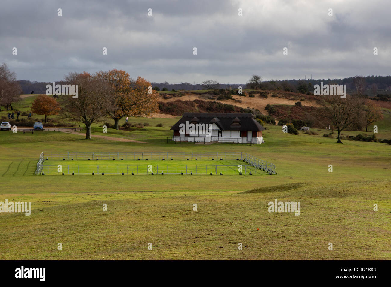 Cricket pitch protection from Ponies in Lyndhurst New Forest Stock Photo