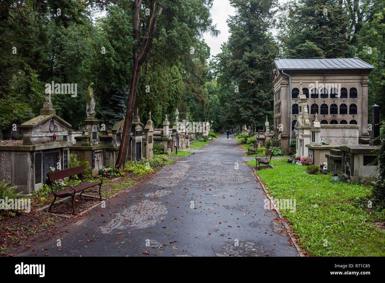 Alley in Rakowicki Cemetery (Polish: Cmentarz Rakowicki) in Krakow, Poland Stock Photo