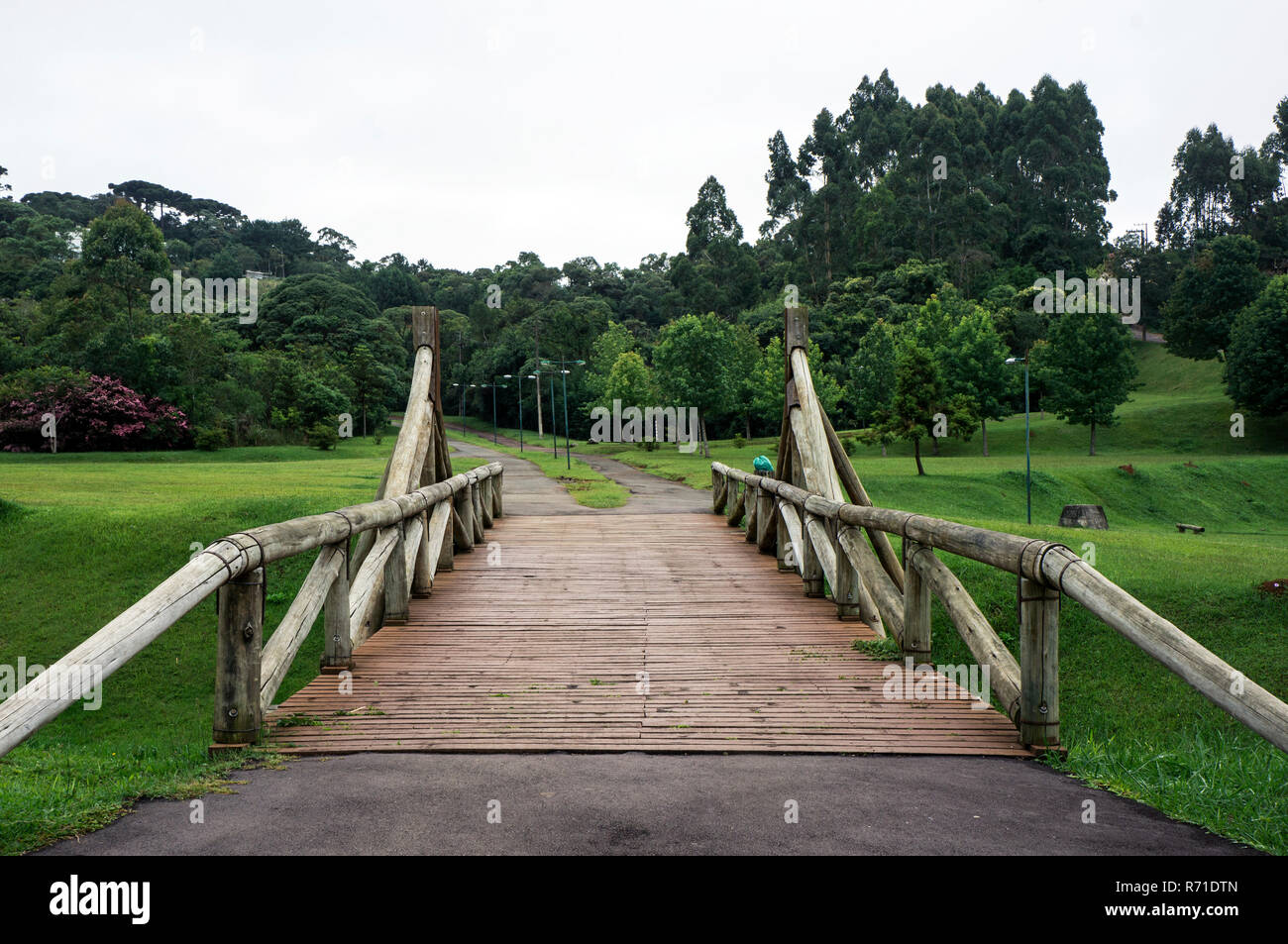 wooden trunk bridge Tangua park Brazil trail grass vegetation Stock ...