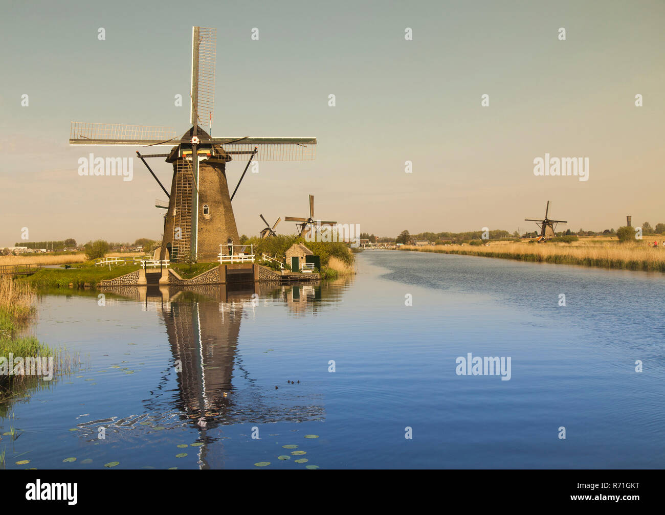 Dutch Windmill In Kinderdijk Stock Photo Alamy