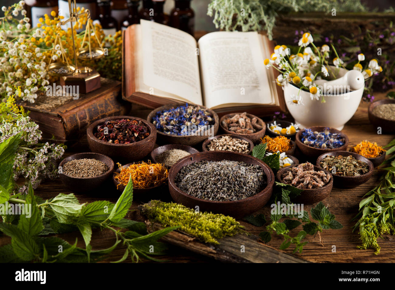 Details 300 herbal background images Abzlocal.mx