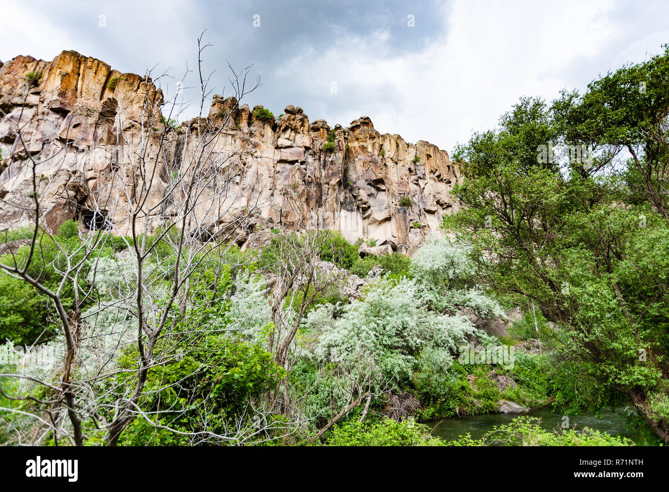trees in old gorge of Ihlara Valley in Cappadocia Stock Photo
