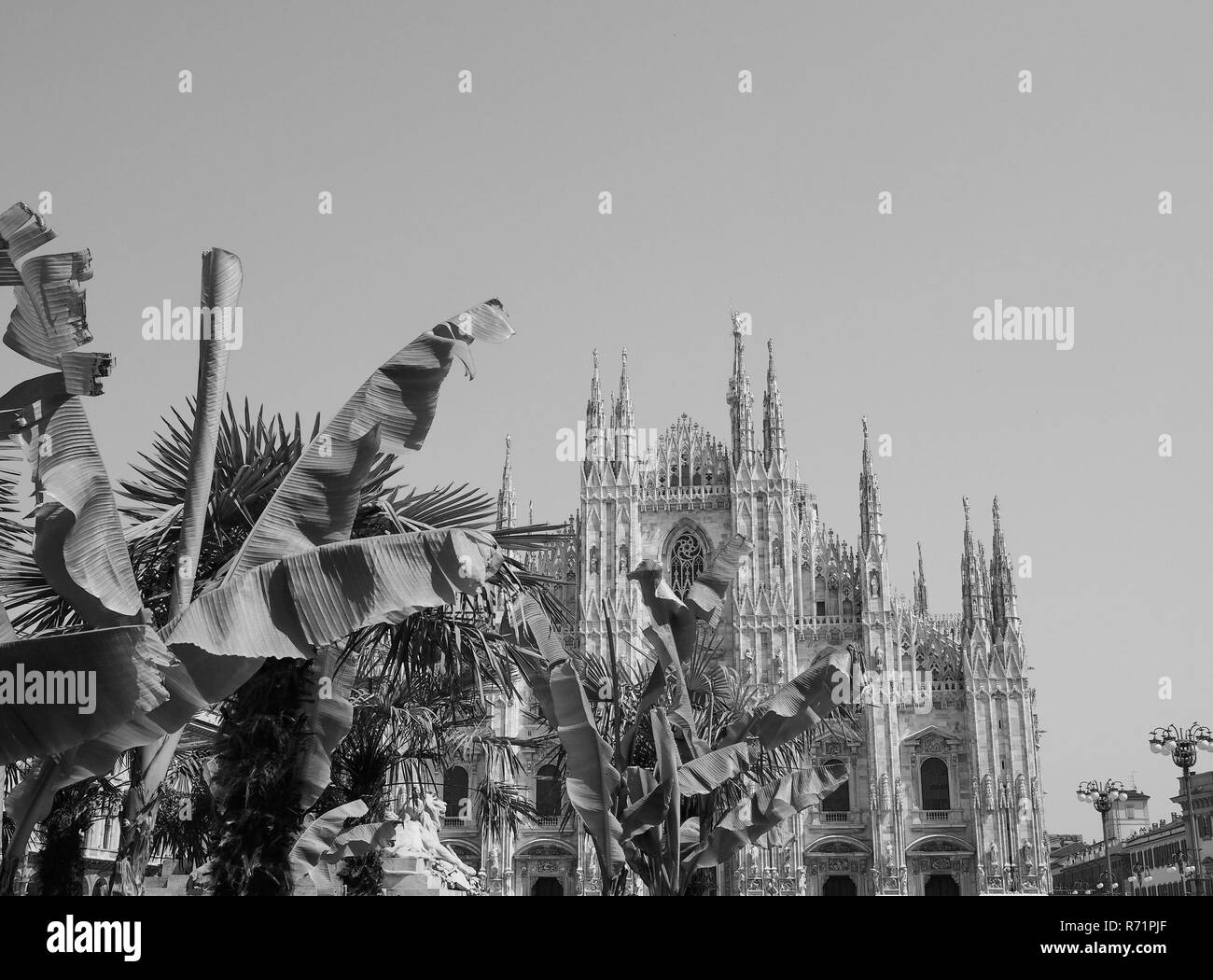 Duomo (meaning Cathedral) in Milan, black and white Stock Photo - Alamy