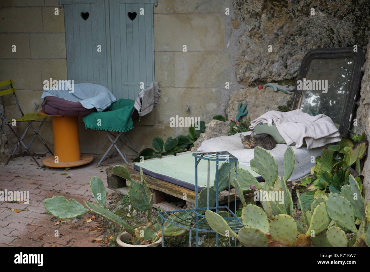 Looking in a fun house mirror hi-res stock photography and images - Alamy, image size:1300x956