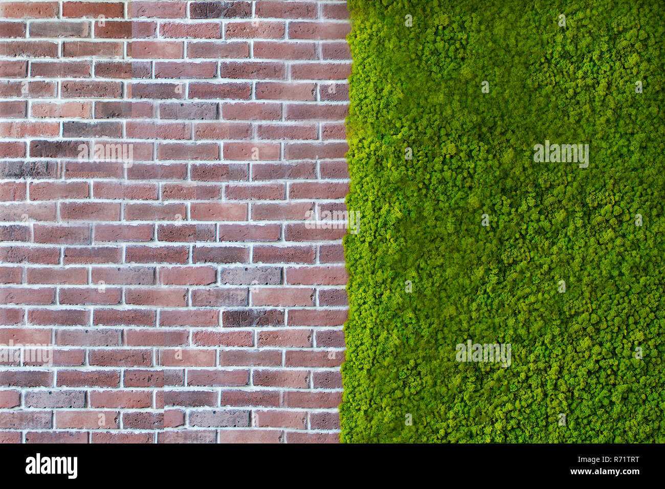 Wall bricks texture with green plants. Stock Photo