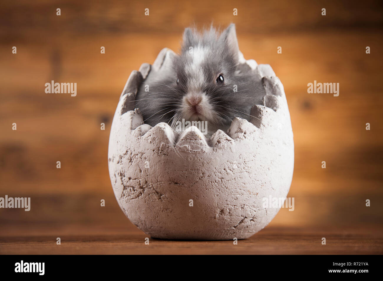 Rabbits with Easter on wooden background Stock Photo