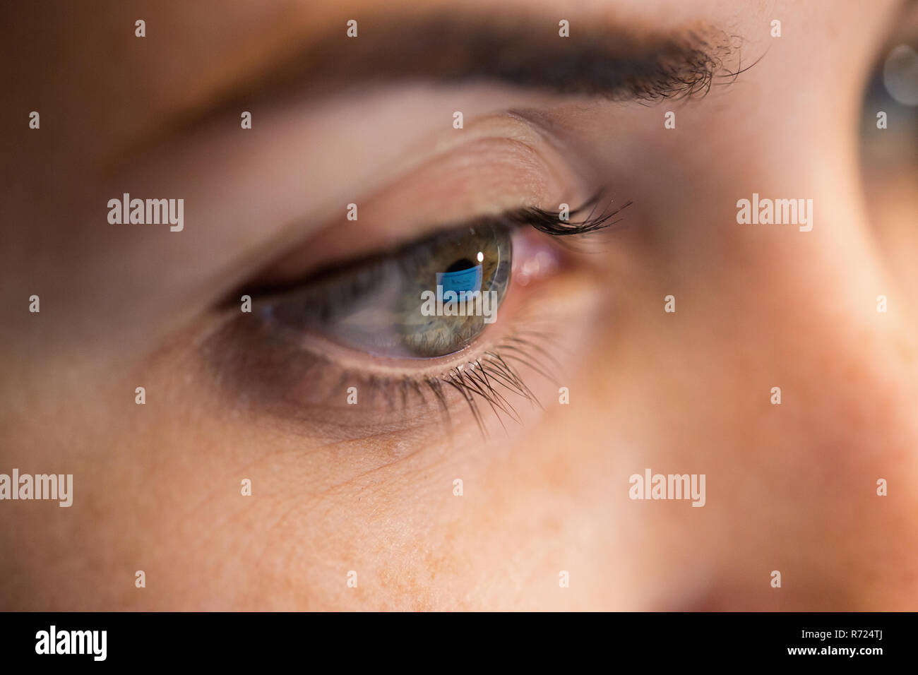 Face and computer screen and closeup hi-res stock photography and ...