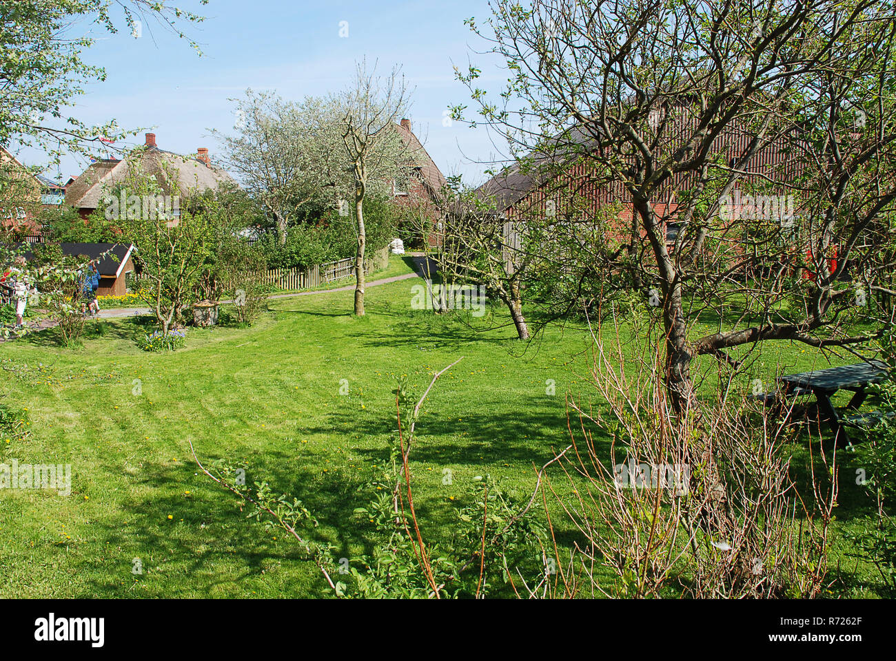 Garden scene on the Warft on the Hallig Hooge in north Friesland. The ...