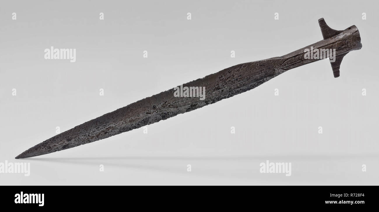 Lance shaped leaves hires stock photography and images Alamy