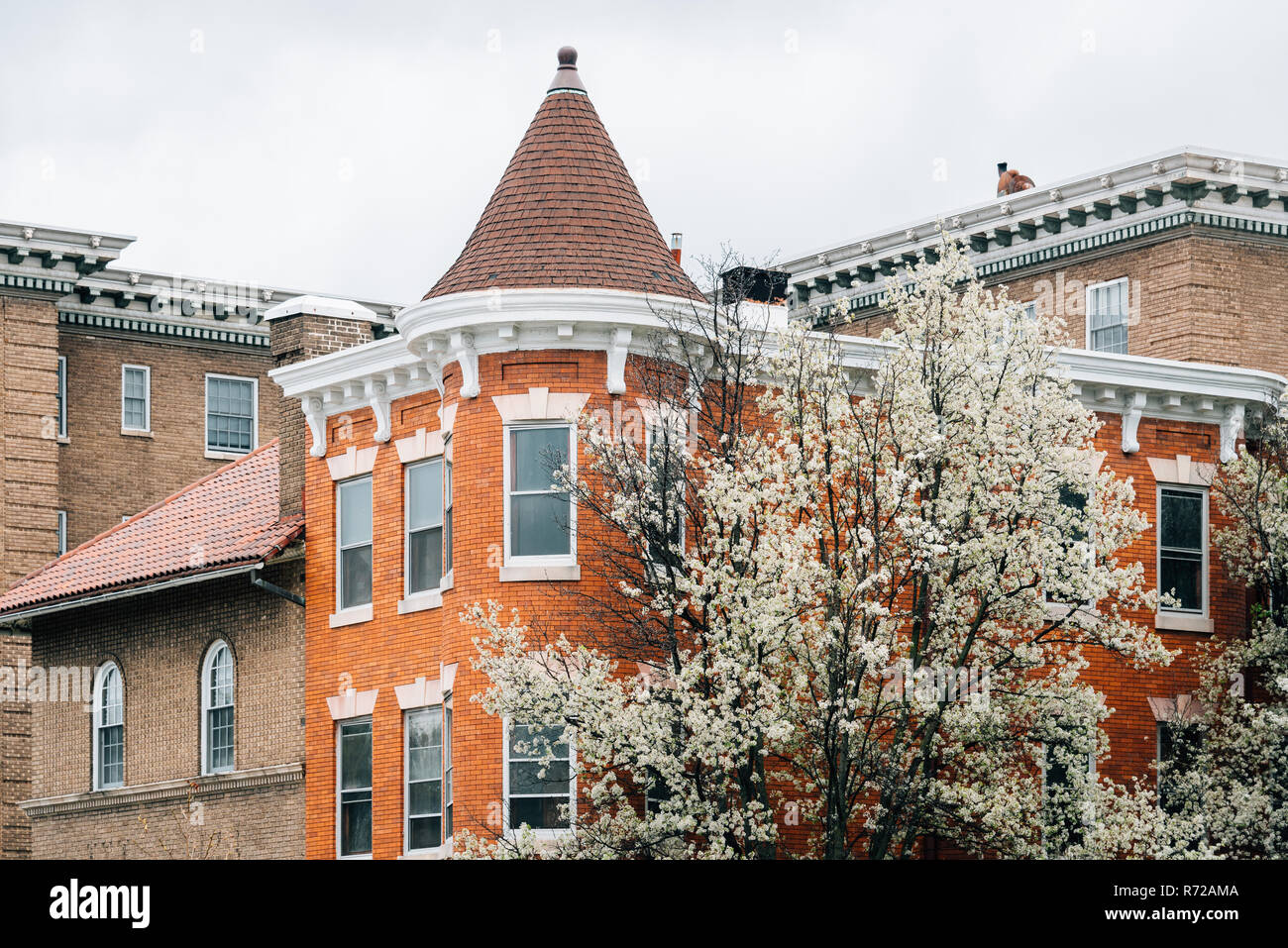 Row houses on Charles Street in Charles Village, Baltimore, Maryland