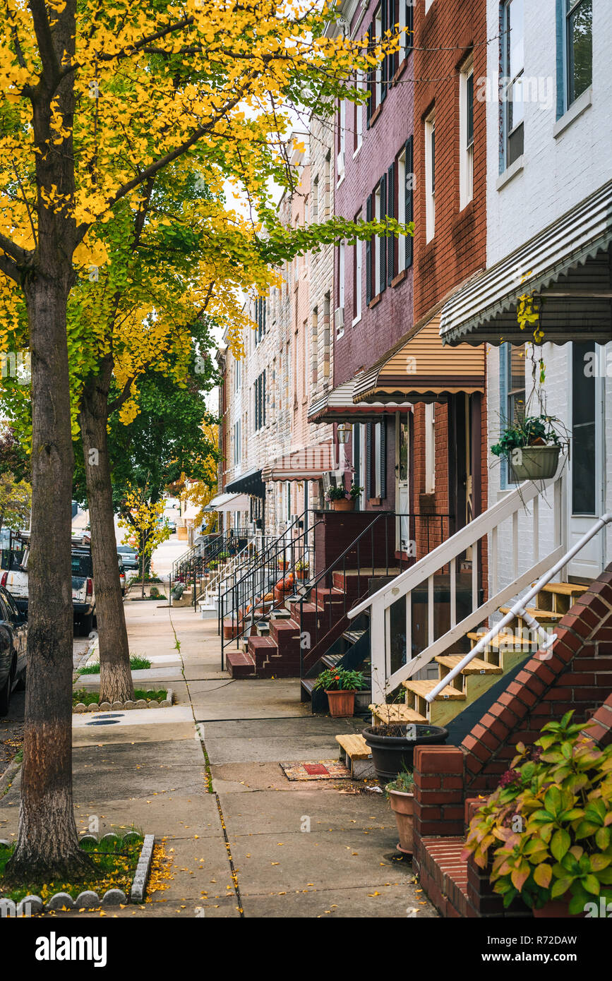 Fall color and row houses in Remington, Baltimore, Maryland Stock Photo