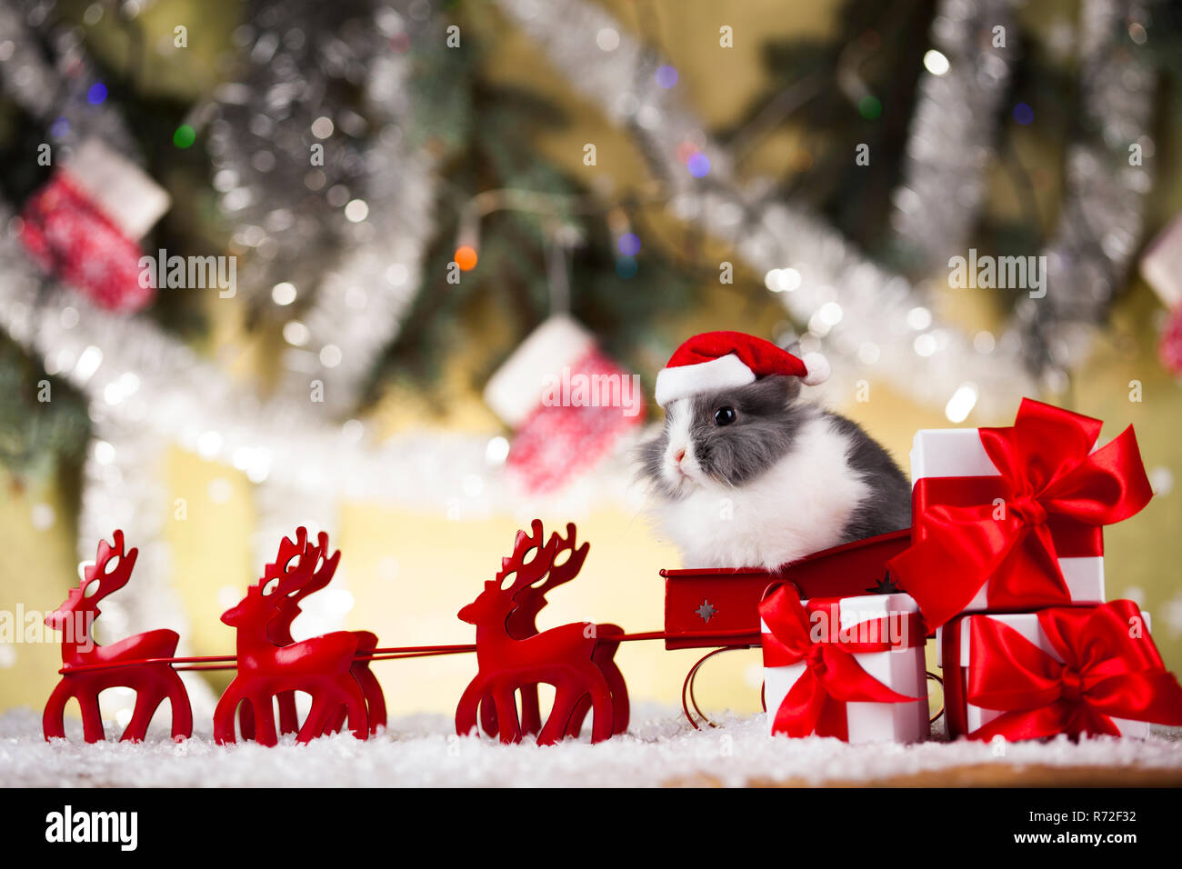 little-santa-bunny-on-christmas-background-R72F32.jpg