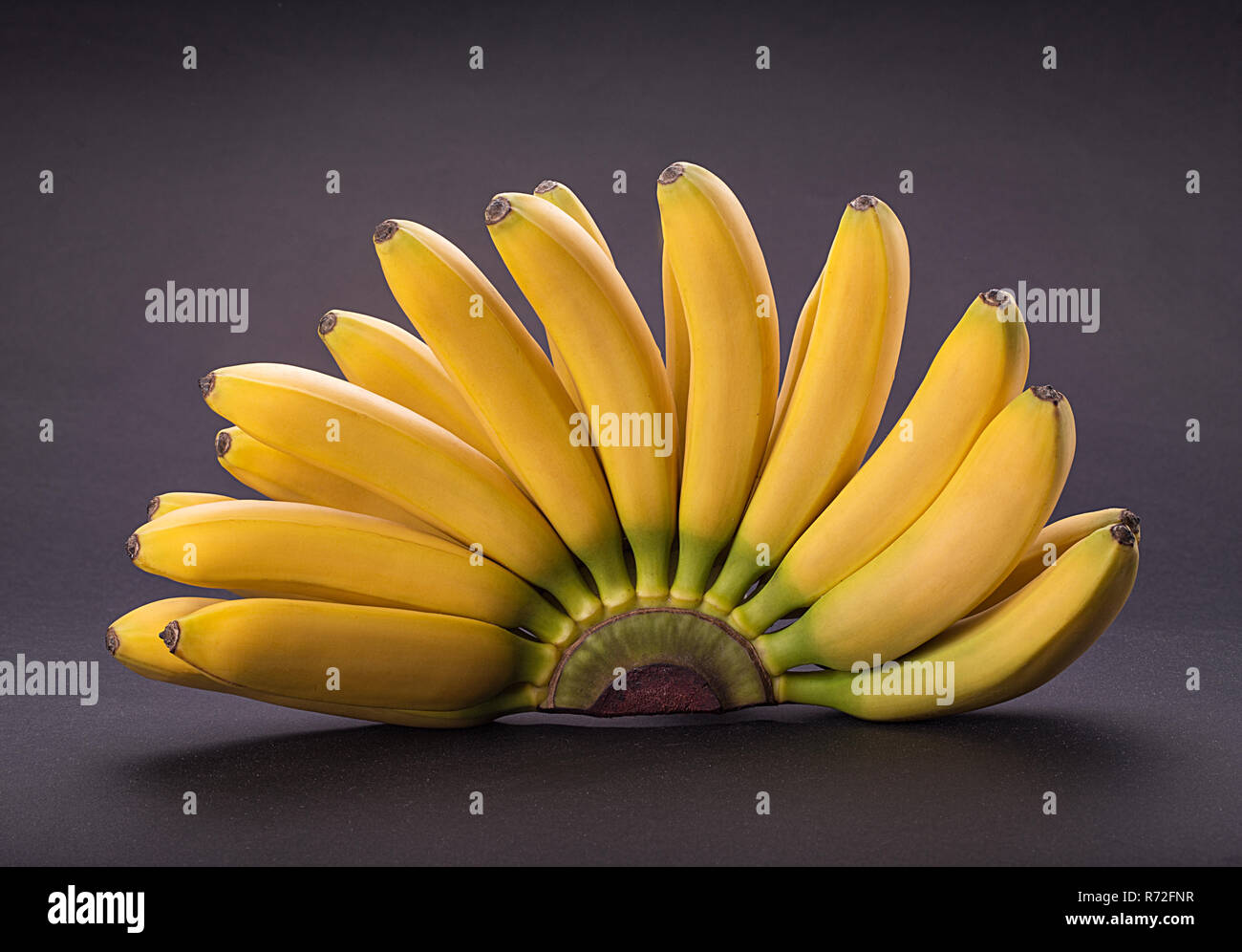 Branch baby bananas on black background Stock Photo Alamy