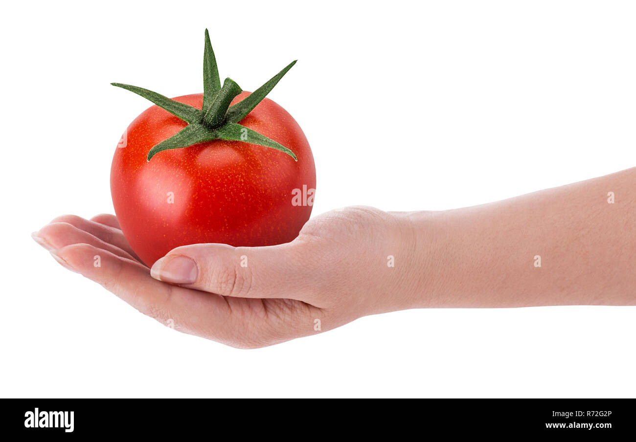 Fresh red tomato with green leaves in hand isolated on white background Clipping Path Stock Photo