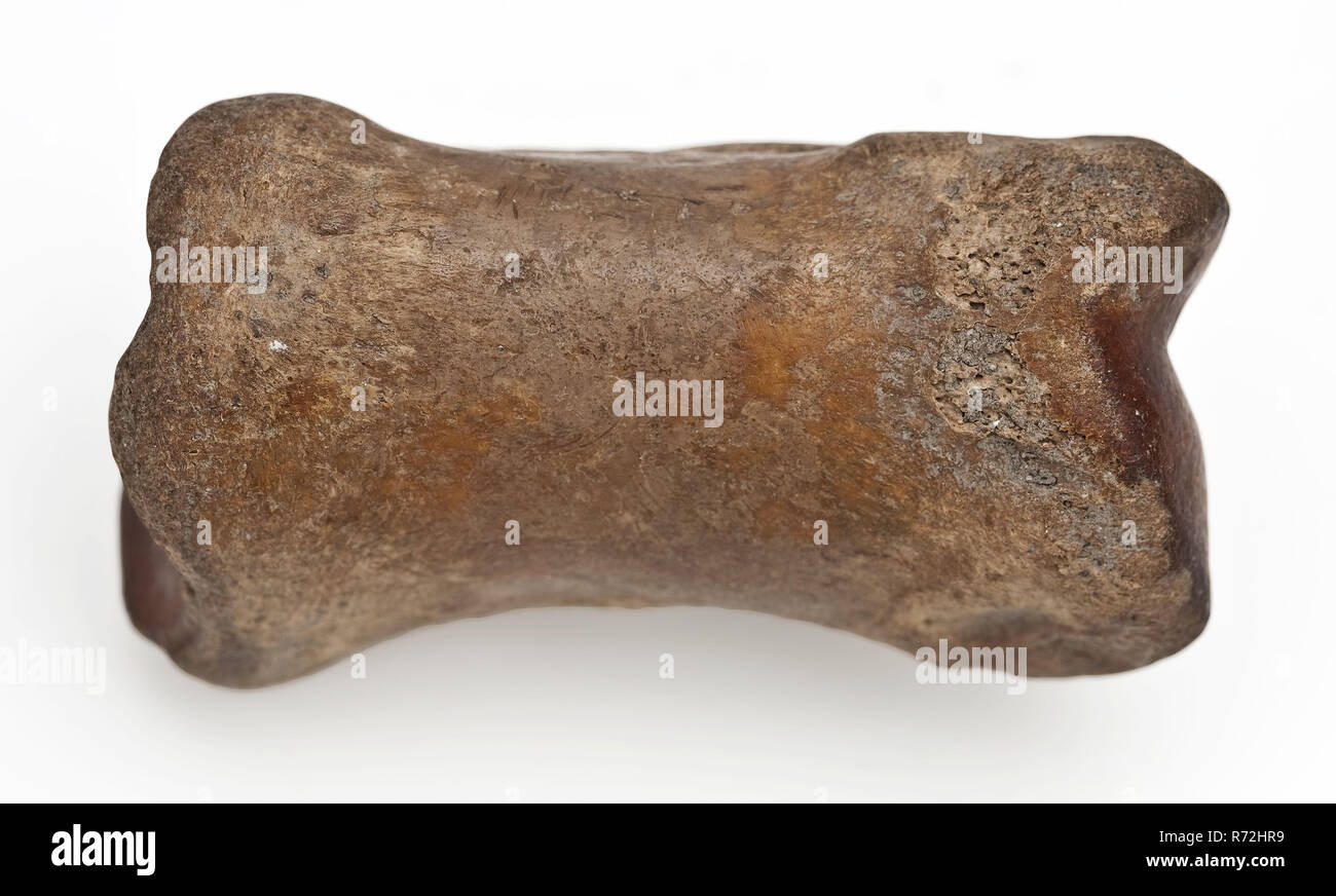 Cow throwing up hires stock photography and images Alamy