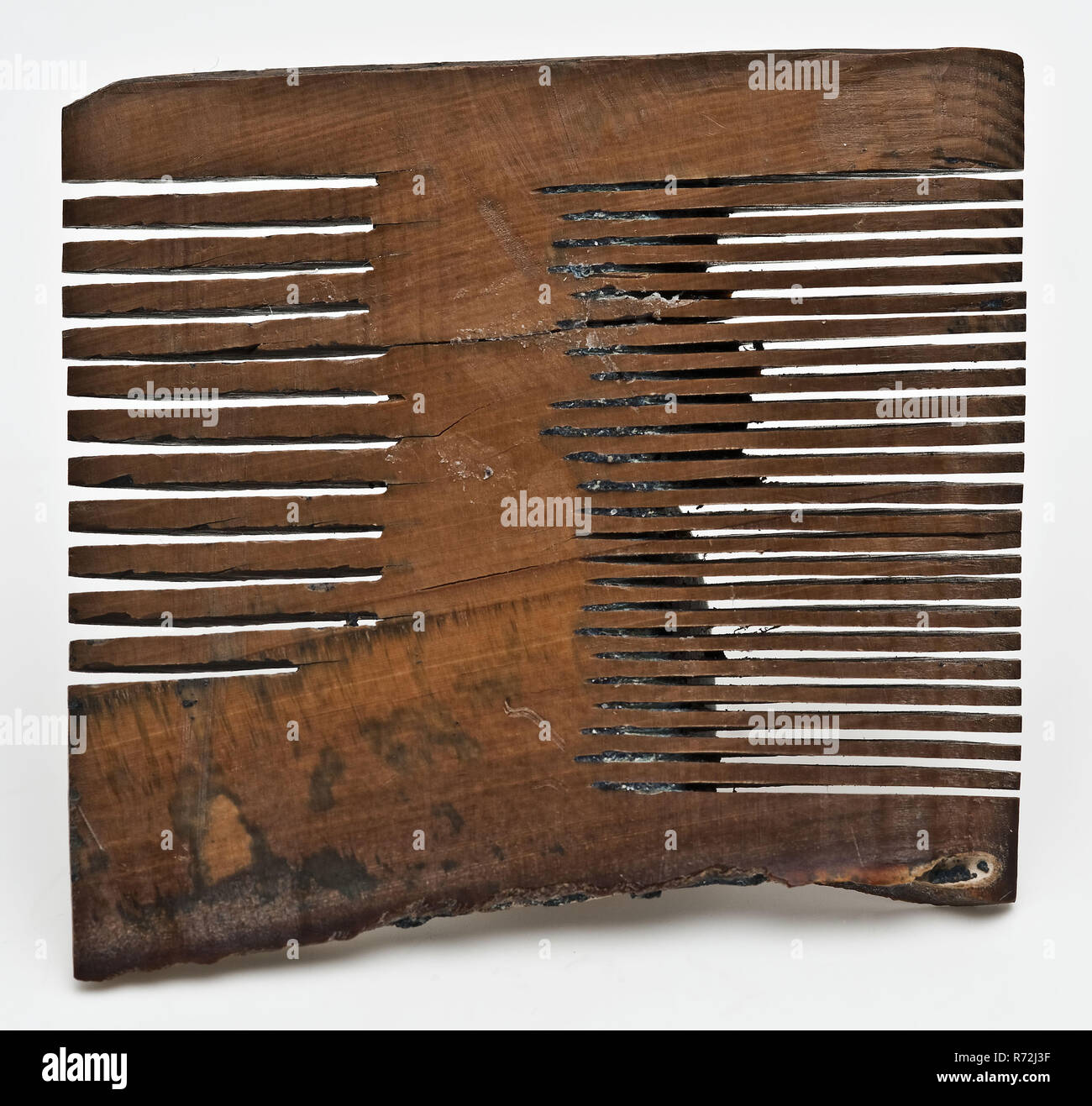 Is It Normal For Puppies To Have Two Rows Of Teeth