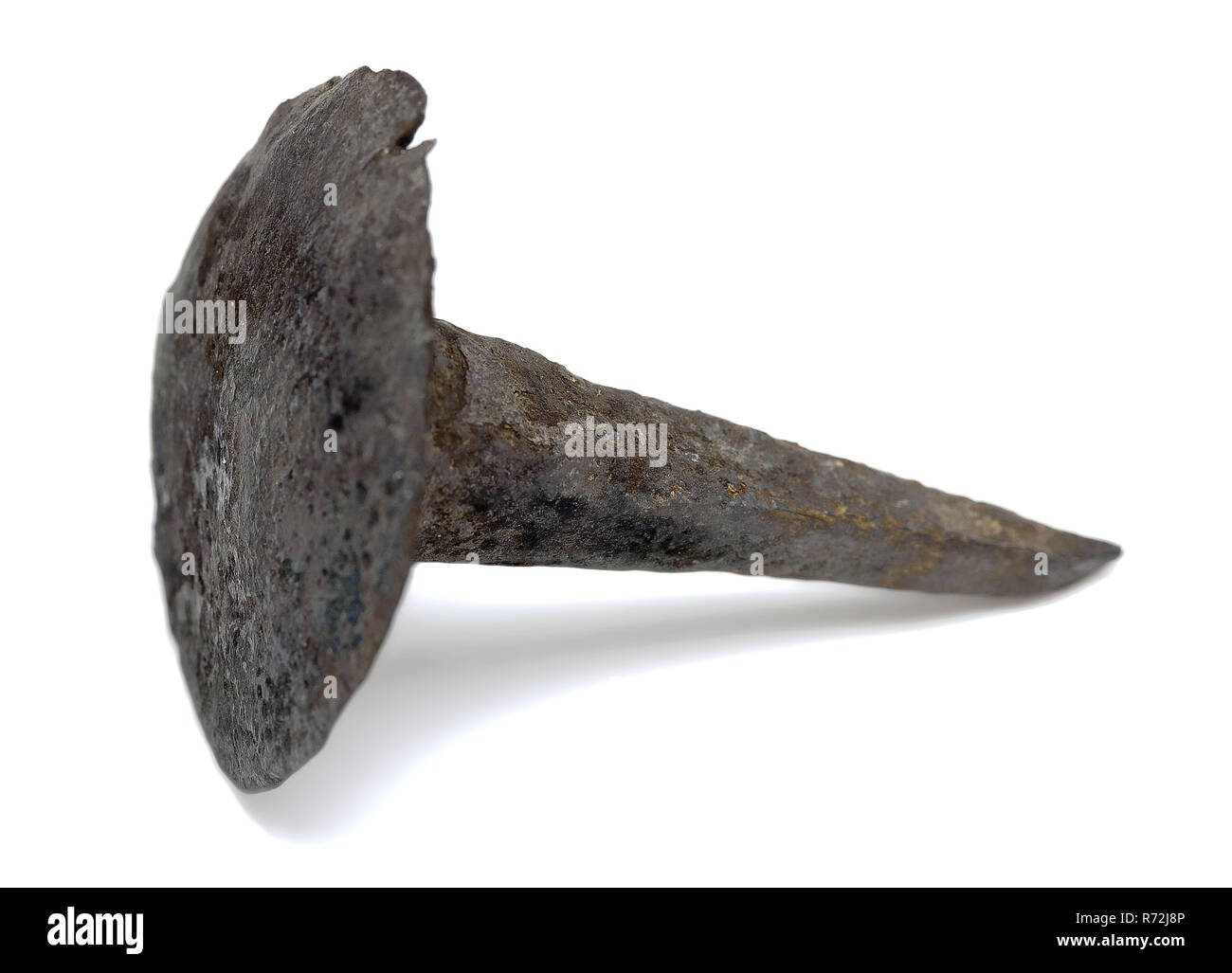 Two bronze forged nails or ornamental nails, nail fitting fittings fastener  soil find bronze metal no.1), head, cast forged Two nails with large round  head one head is convex other flat. Tacks