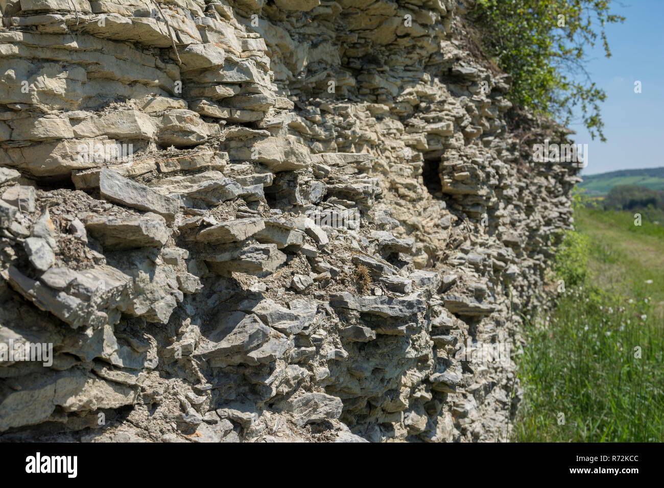 shell limestone, markelsheim, bad mergentheim, tauber valley, main-tauber region, heilbronn-franconia, baden-Wuerttemberg, Germany, muschelkalk Stock Photo